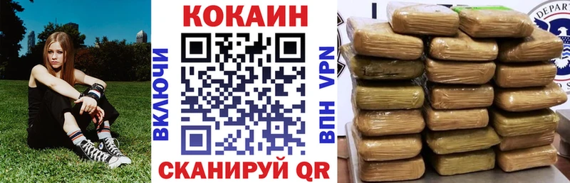 Купить закладки  Сургут  Cocaine FishScale 