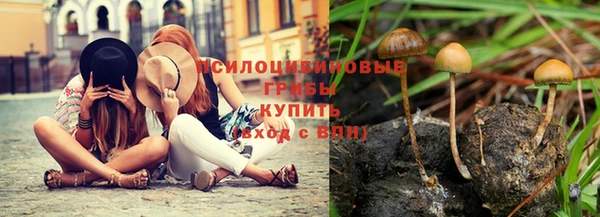 СК Арсеньев